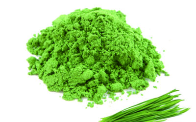 Harnessing the Nutrition of Wheatgrass in Convenient Powdered Form
